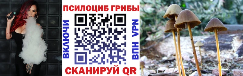 Псилоцибиновые грибы MAGIC MUSHROOMS кракен зеркало Мелеуз