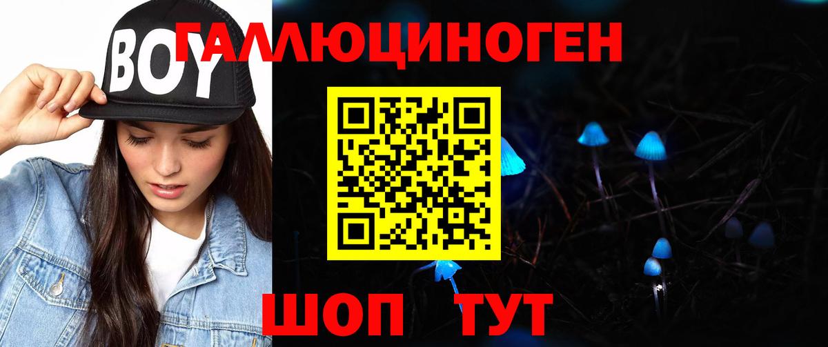 Псилоцибиновые грибы Cubensis  Вход с VPN  Псилоцибиновые грибы Psilocybine cubensis  Мелеуз 