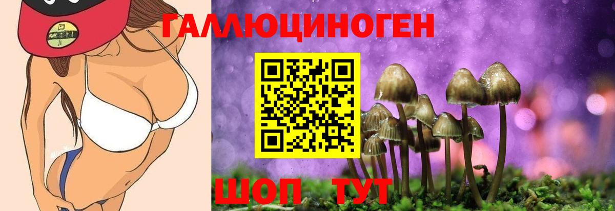 Псилоцибиновые грибы мухоморы Мелеуз